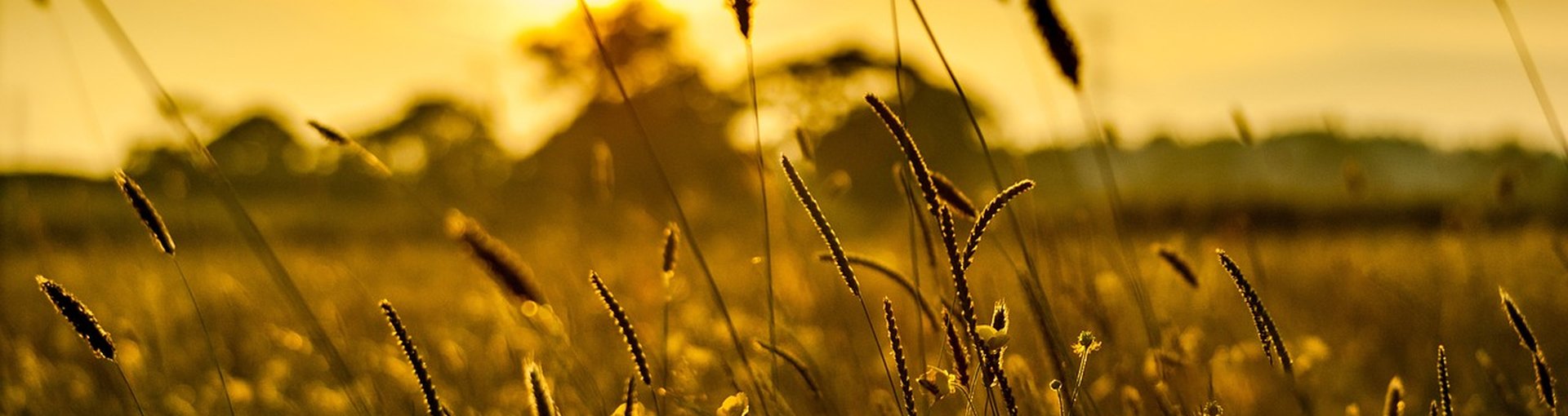 Futurelife-home2-slideshow